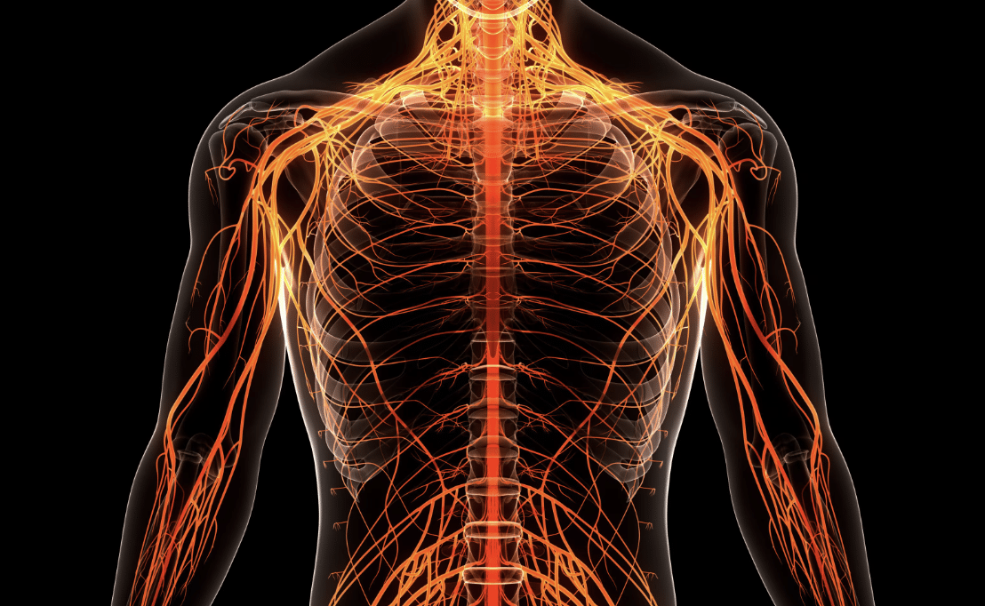 Can You Trust Your Gut? The Pros (and Cons) of Intuition—According to Science