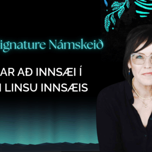 Signature InnSæi Námskeiðið